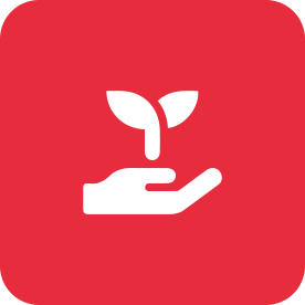 icoon-online-marketing-strategie