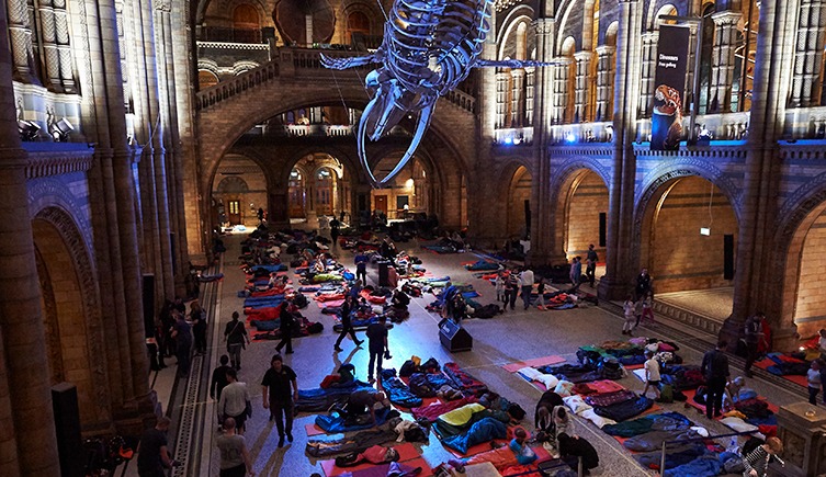 Dino Snore for Kids au Musée d'Histoire Naturelle de Londres