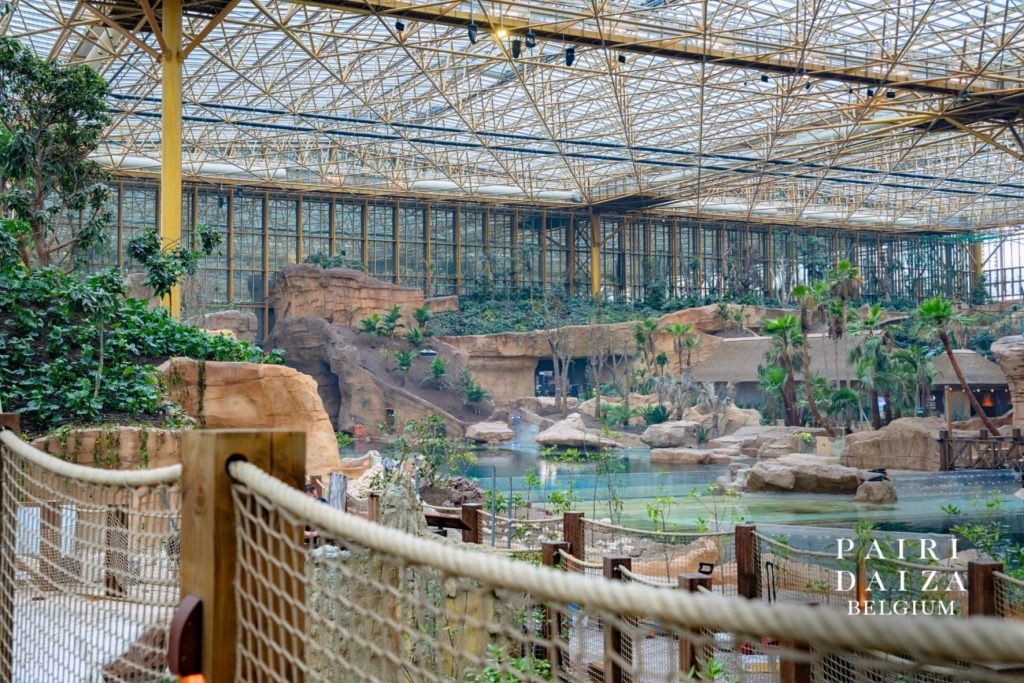 Edenya, la serre tropicale la plus grande au monde, ouvre à Pairi Daiza le 7 février 2026
